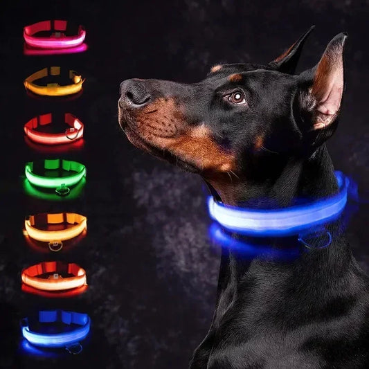 GlowSafe Rechargeable Dog Collar